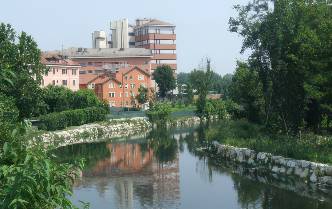 Kiedy pizza staje się lekarstwem: współpraca z Fundacją Castellini